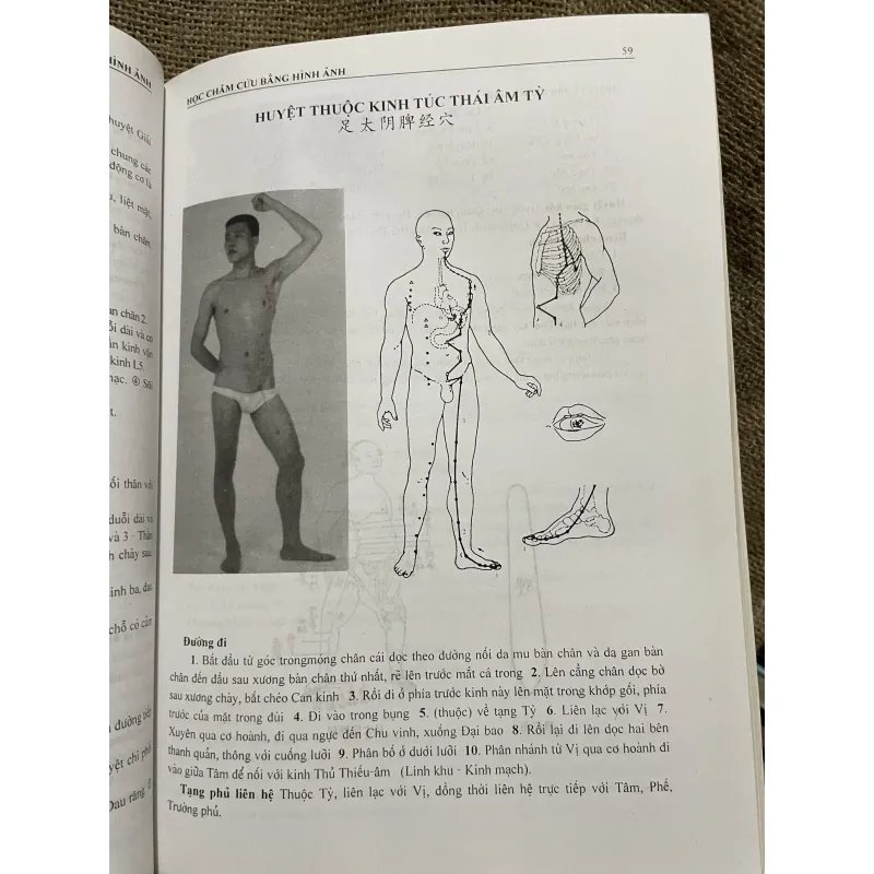 Học châm cứu bằng hình ảnh- sách y khổ lớn - Lý Quý Ngưu  933855