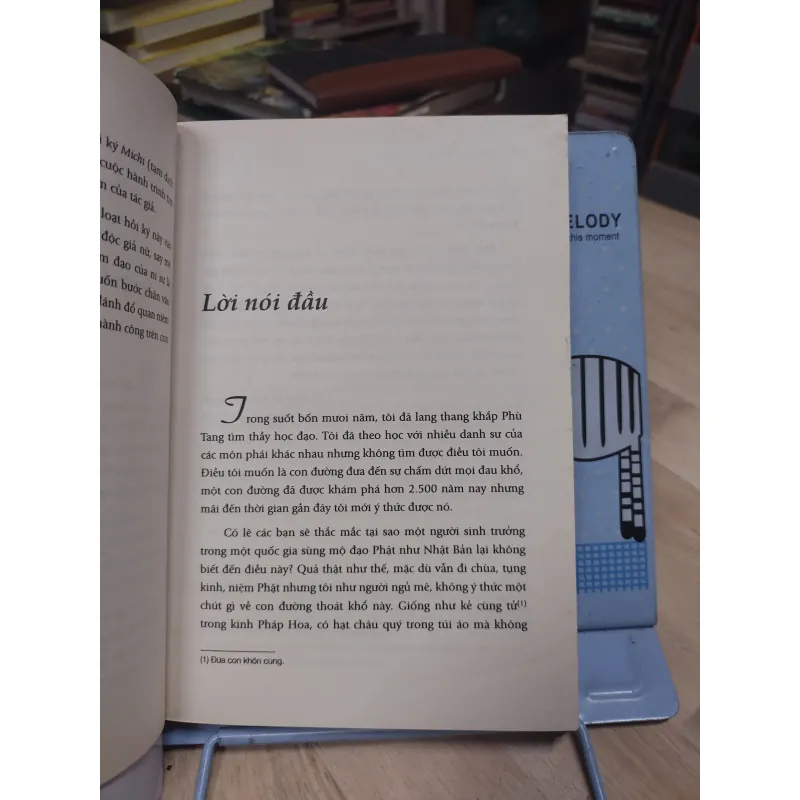 Sách: Hoa trôi trên sóng nước - TG: Satomi Myodo - Nguyên Phong phóng tác (B1) 778002