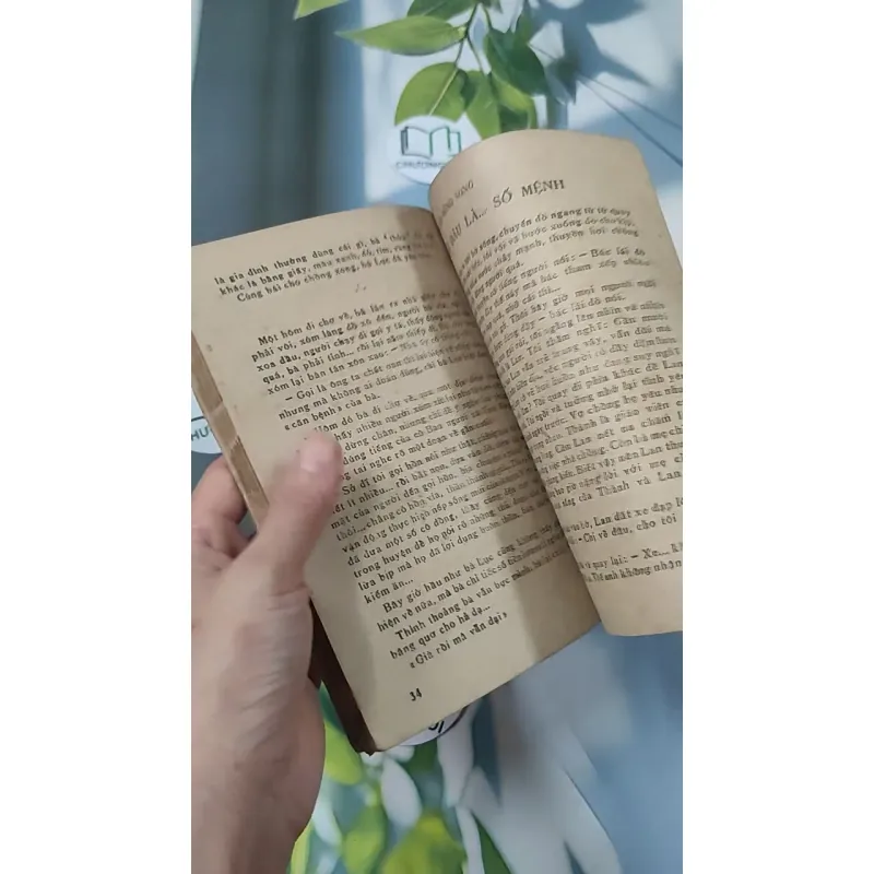 [XƯA] Những Chuyện Thánh Thần (1985) 775980