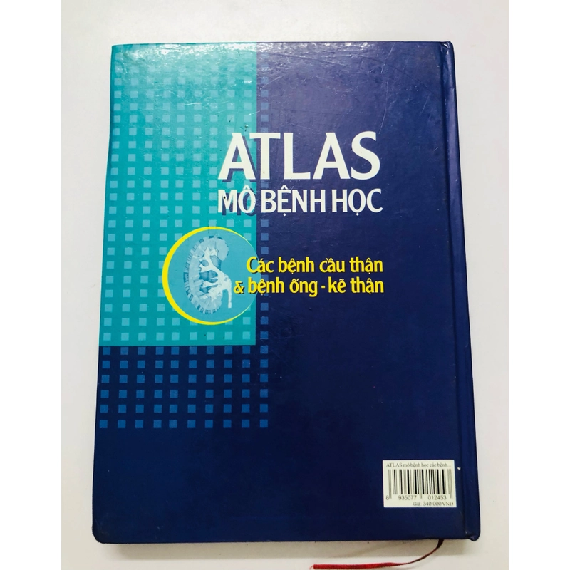 ATLAS MÔ BỆNH HỌC CÁC BỆNH CẦU THẬN & BỆNH ỐNG - KẼ THẬN 305949