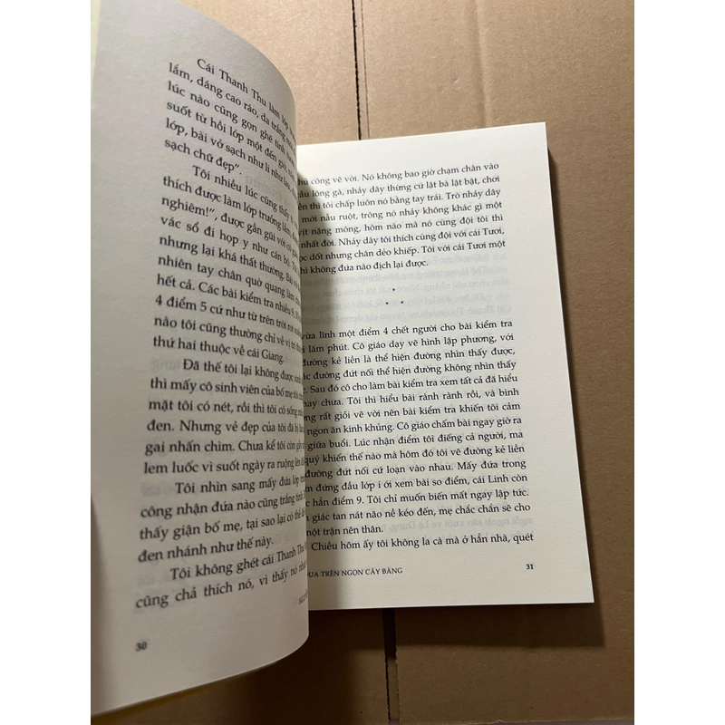 Đu đưa trên ngọn cây bàng 524495