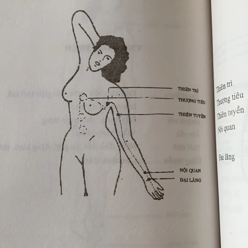 Nhân điện những phát hiện và ứng dụng, Nguyễn Đình Phư 703684