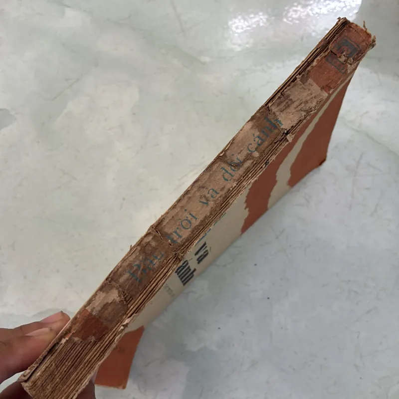 Bầu trời và đôi cánh - 1985s 996263