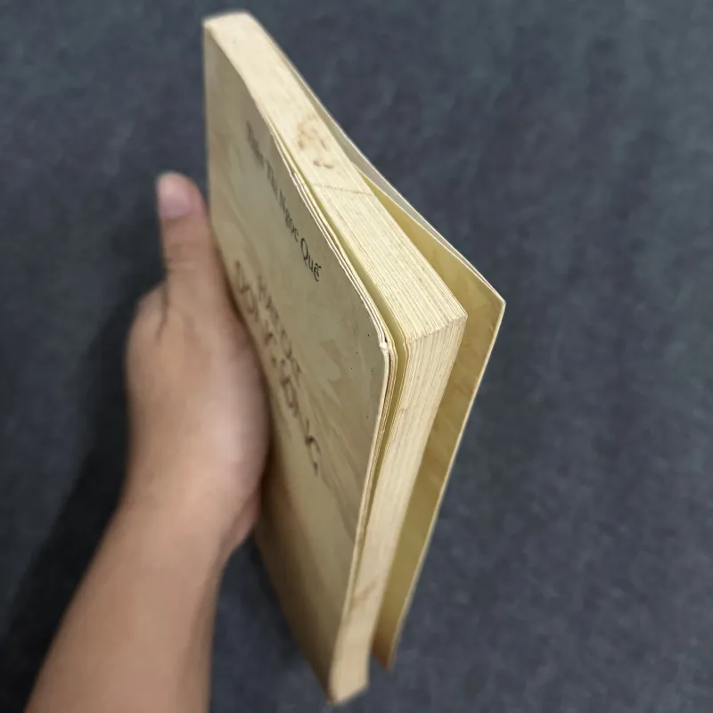 Hạt cát dòng sông - Thân Thị Ngọc Quế 1012850