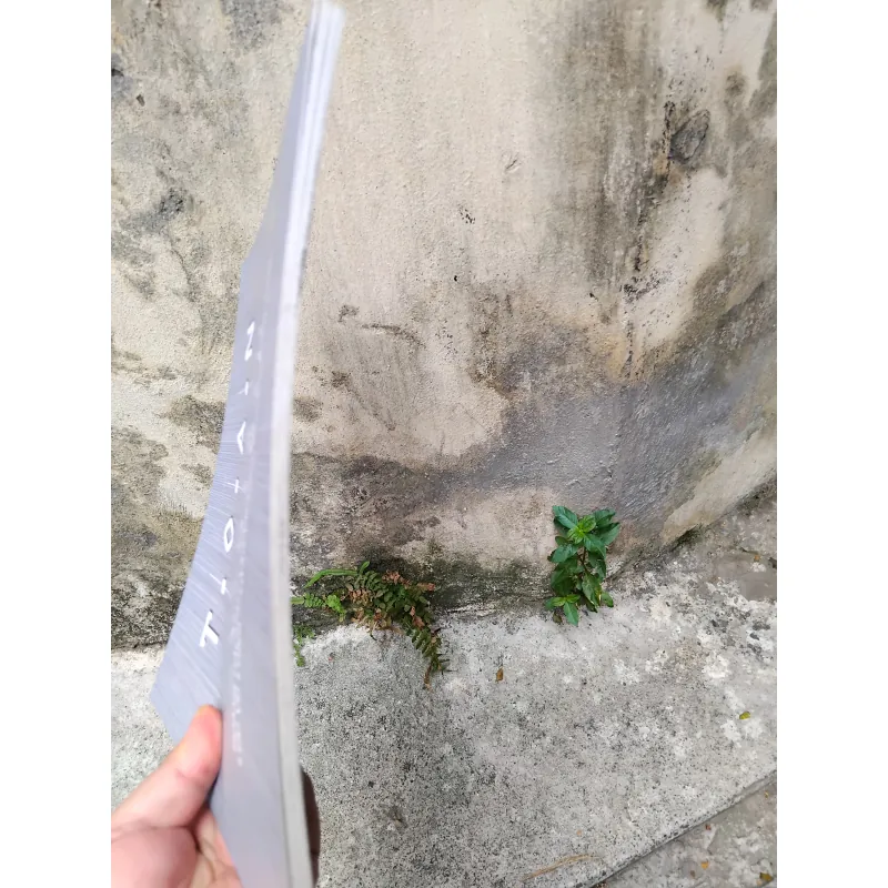 Toan ( Canvas ) vựng tập hội họa  1006127