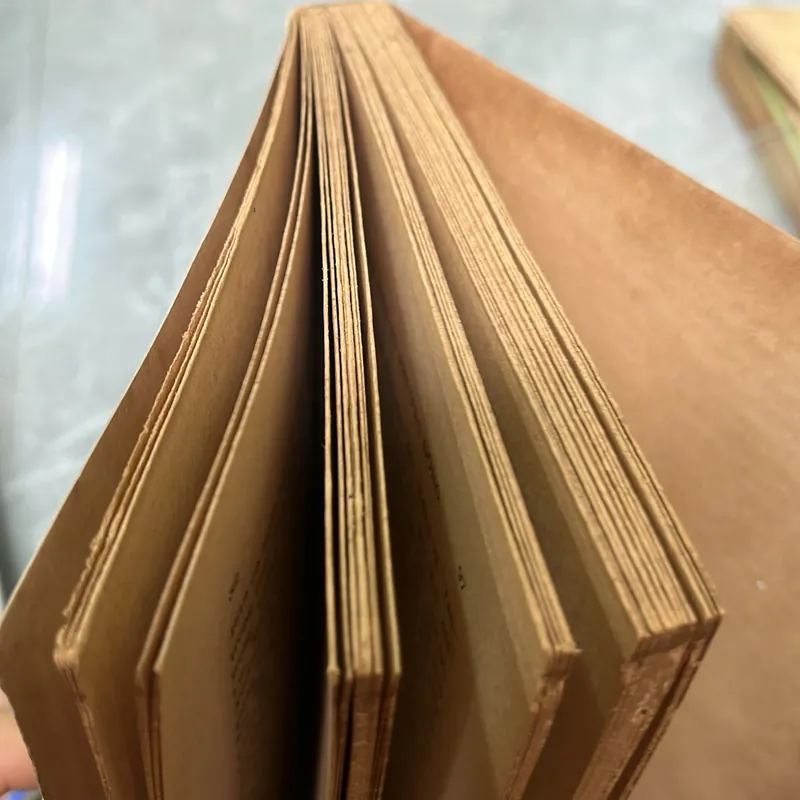 DESCARTES NHÌN TỪ PHƯƠNG ĐÔNG 704039