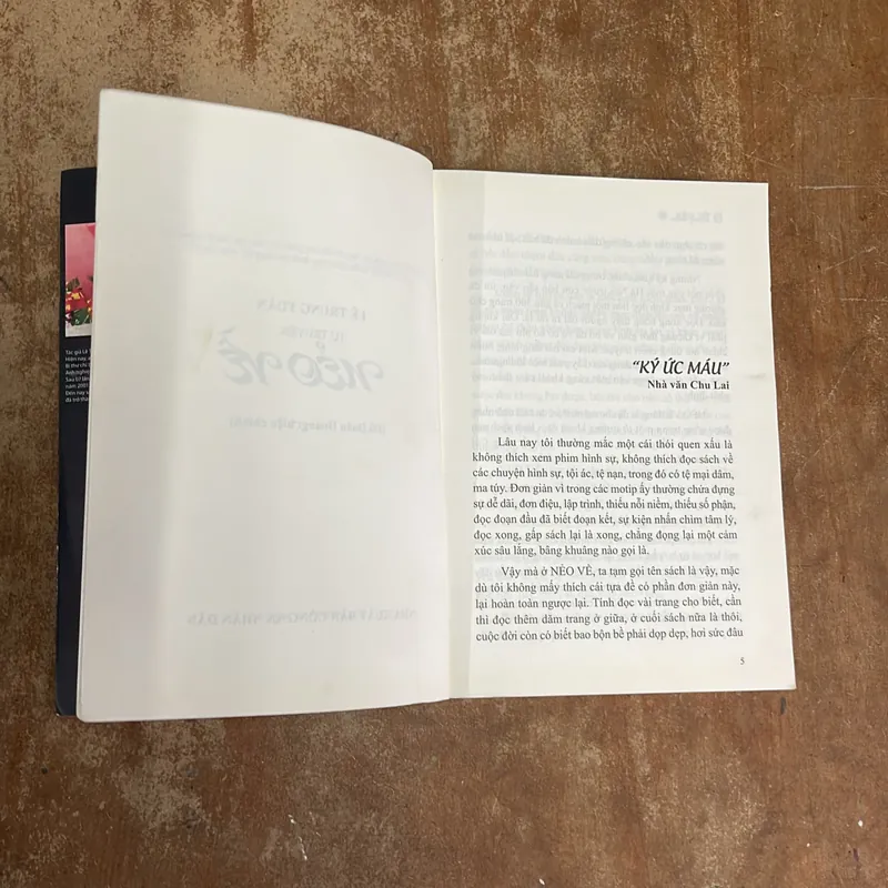 NẺO VỀ - LÊ TRUNG TUẤN 698691