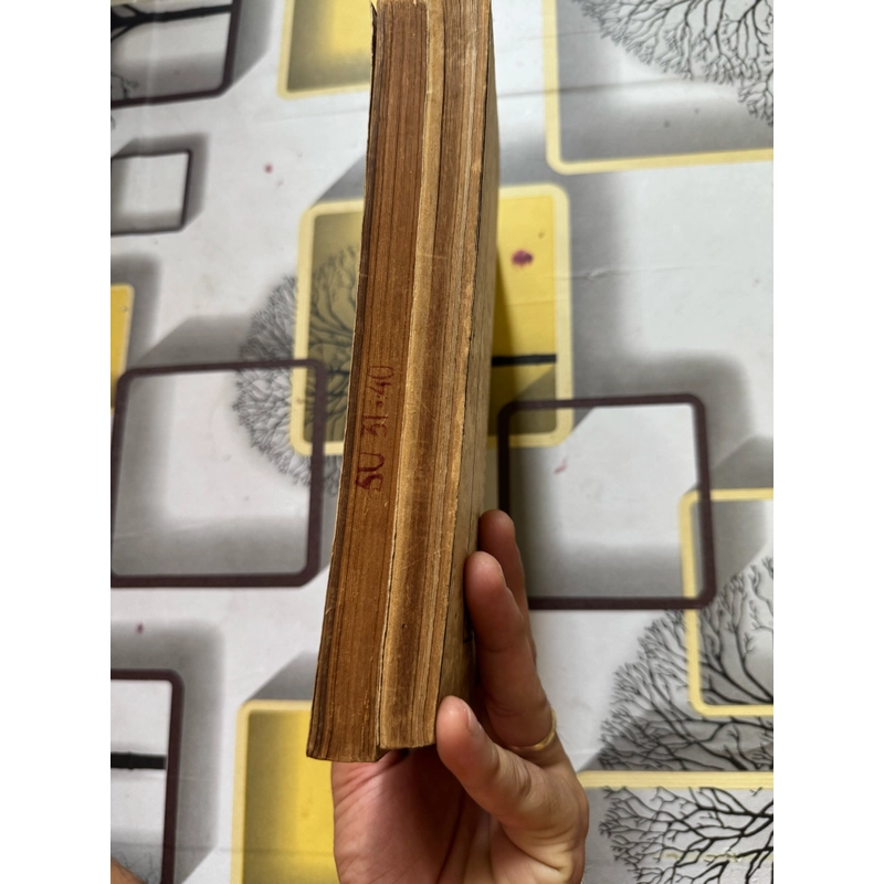 Sống vui     527518