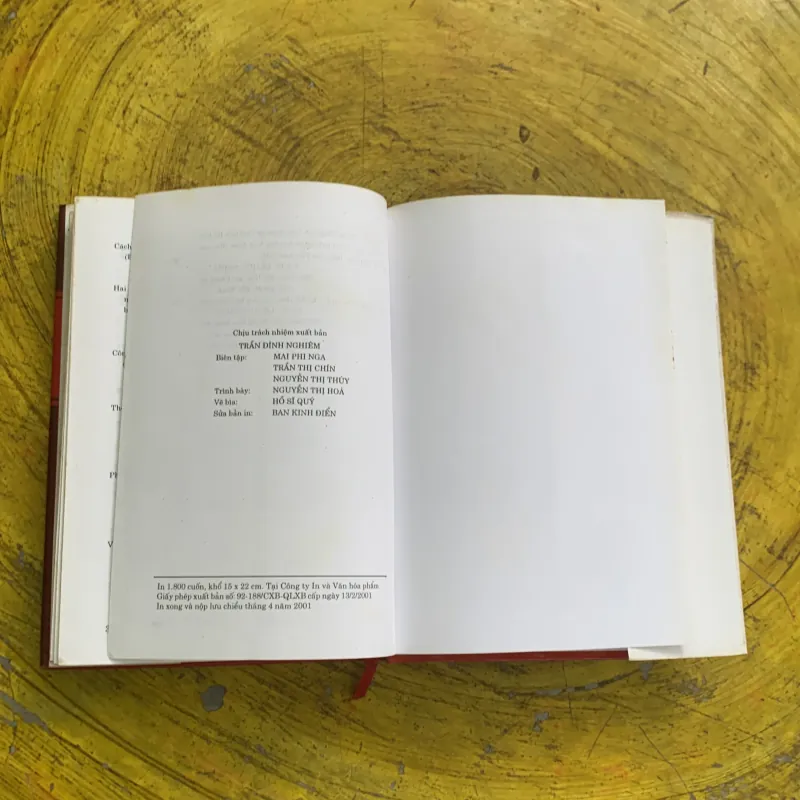  VIỆT NAM TRONG THẾ KỶ XX 748141