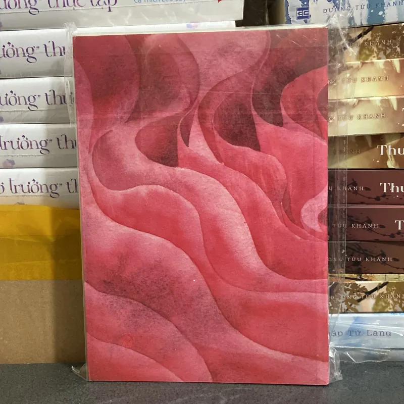 (Trinh thám) - Tấm gương hai mặt - Kim Su An 975643