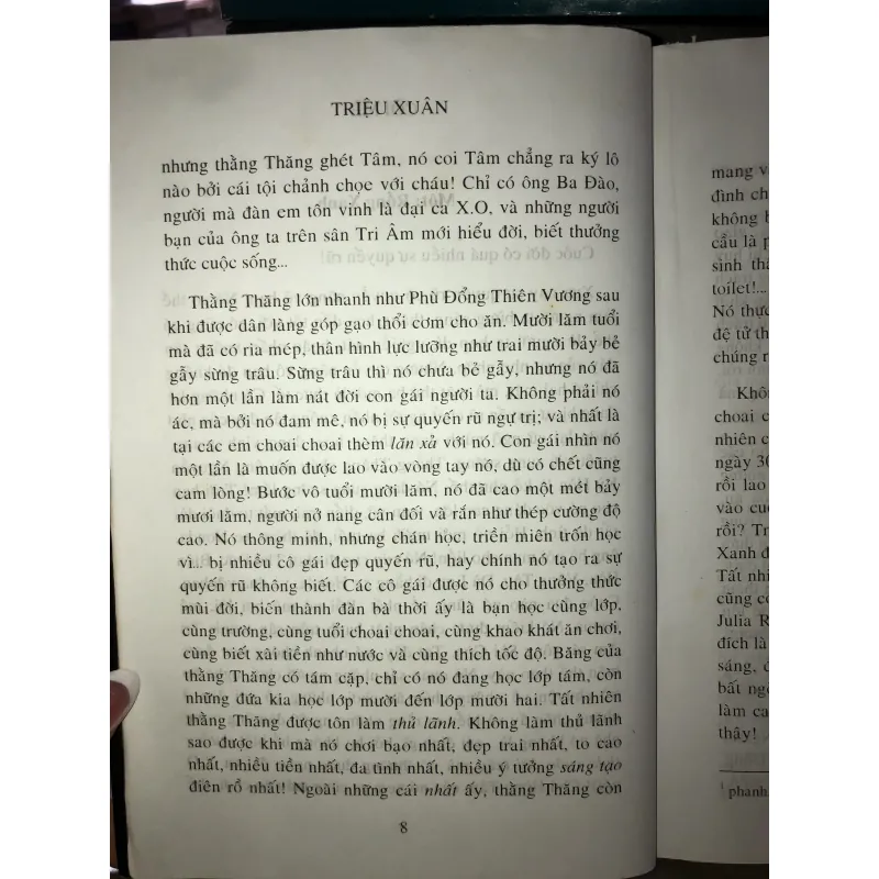 Cõi mê - Triệu Xuân  1002250