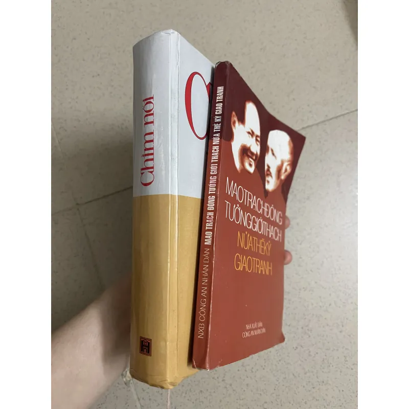 Combo 2 sách về TƯỞNG GIỚI THẠCH 762403