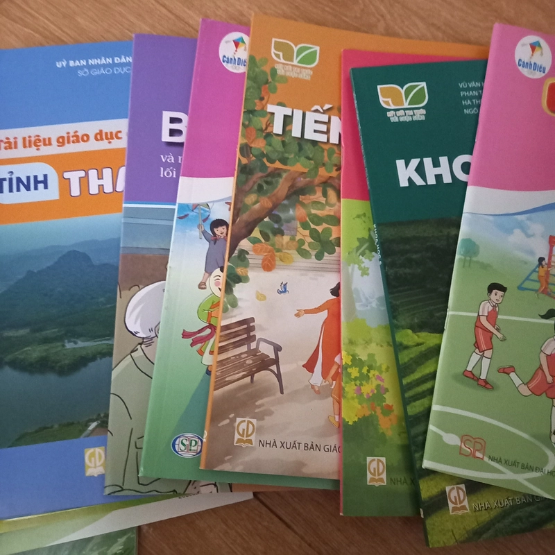 Sách giáo khoa lớp 2-3-4 gồm những sách in cơ bản như toán tiếng việt, tiếng anh  531046
