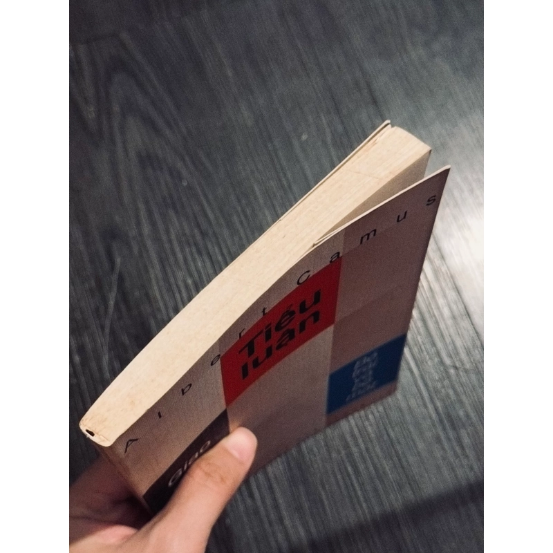 Tiểu luận giao cảm bề trái và bề mặt  470392