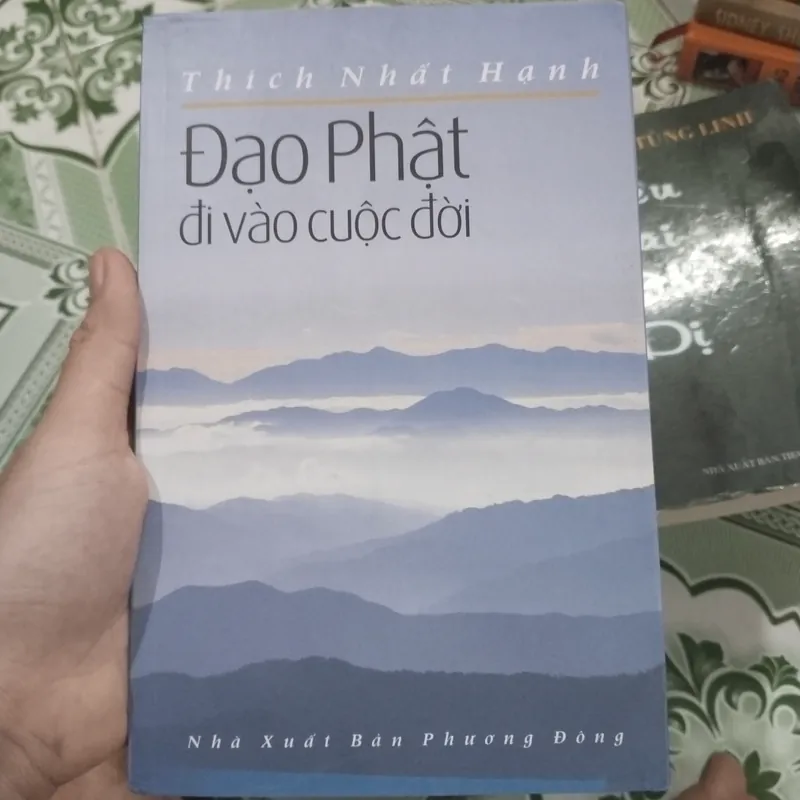 Đạo Phật đi vào cuộc đời Thích Nhất Hạnh  561507