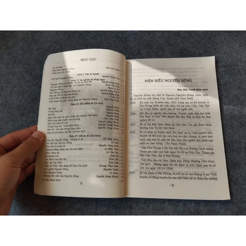 NGUYÊN HỒNG KHỔ ĐAU VÀ SÁNG TẠO 719974