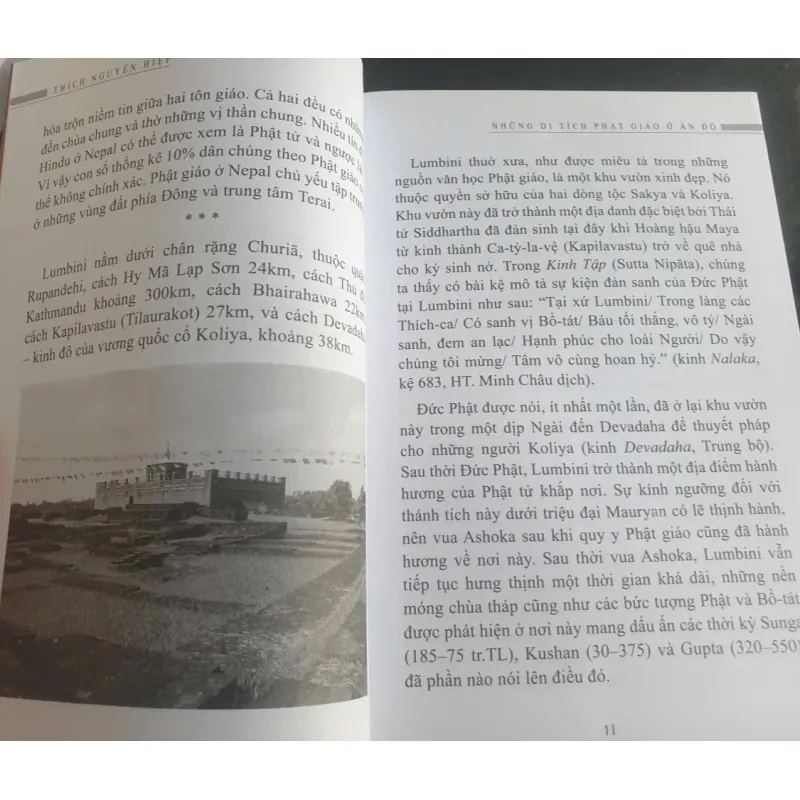 Những Di Tích Phật Giáo Ở Ấn Độ 712131