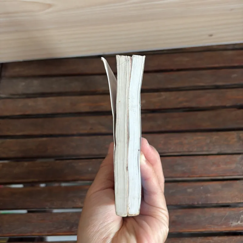 II Cẩm Nang Du Lịch: Sapa Trữ Tình + Mũi Né, Hòn Rơm, Phan Thiết - Phạm Côn Sơn - 2010 718574