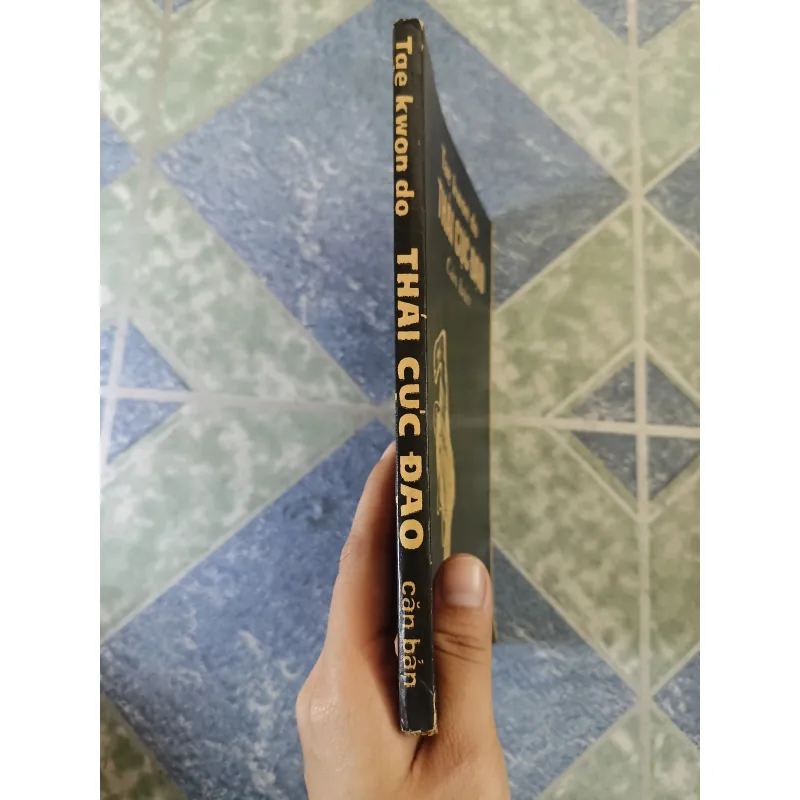 Tae kwon do Thái cực Đạo căn bản - Lạc Hà & Phan Chấn Thanh 708335