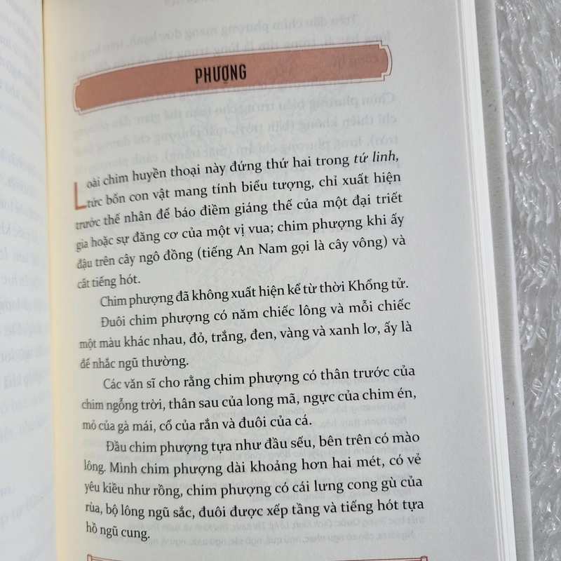 Biểu tượng. Phù hiệu và đồ thờ của người An Nam | Gustave dumoutier 524767