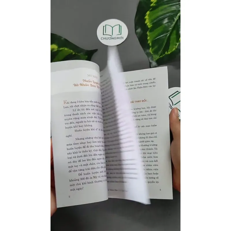 Mạo Hiểm Mới Là An Toàn - Randy Gage 604650