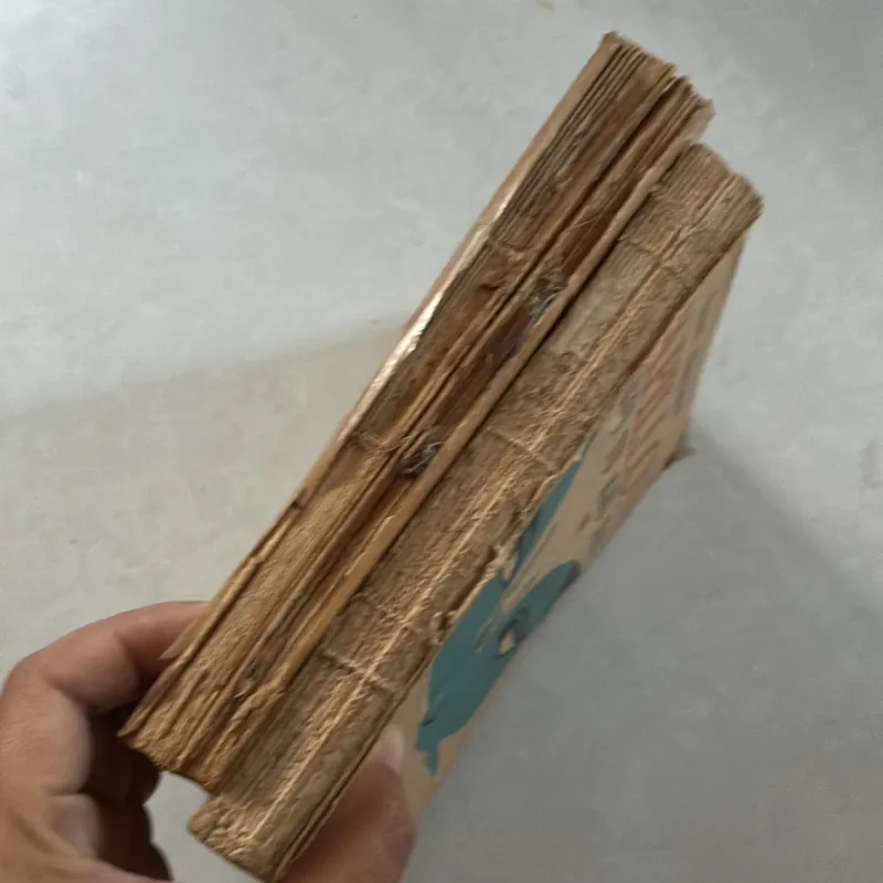 Papillon người tù khổ sai (Bộ 2 tập) 800856