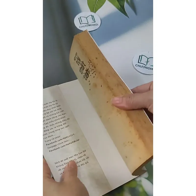 Hôm Nay Tôi Thất Tình - Hạ Vũ 705592