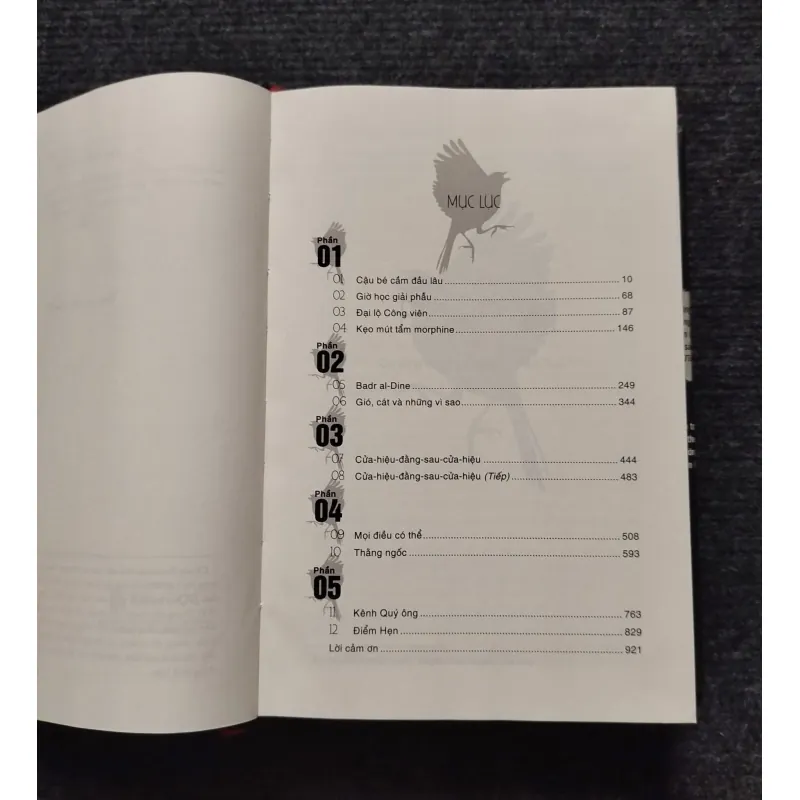 Con Sẻ Vàng- Donna Tartt, 1036303