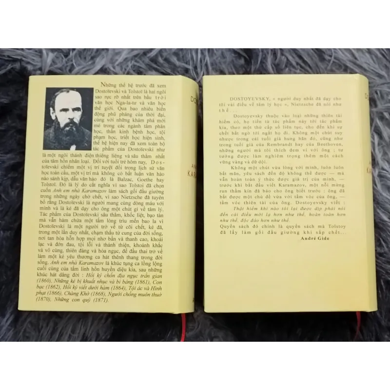 Anh em nhà Karamazov 594462