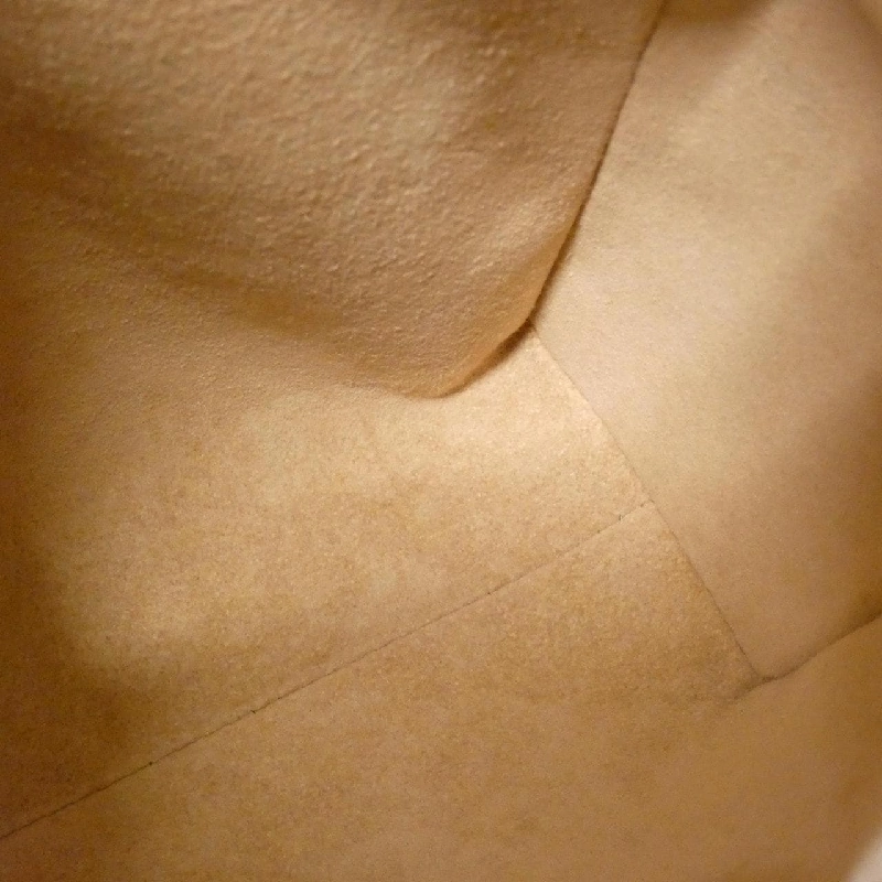 Túi xách vai Louis Vuitton Monogram Dune Side Trunk M46907 611611