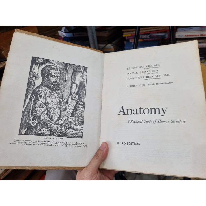 ANATOMY : A REGIONAL STUDY OF HUMAN STRUCTURE (3rd Edition) - E. Gardner, D.J. Gray, R.O'Rahilly 138143