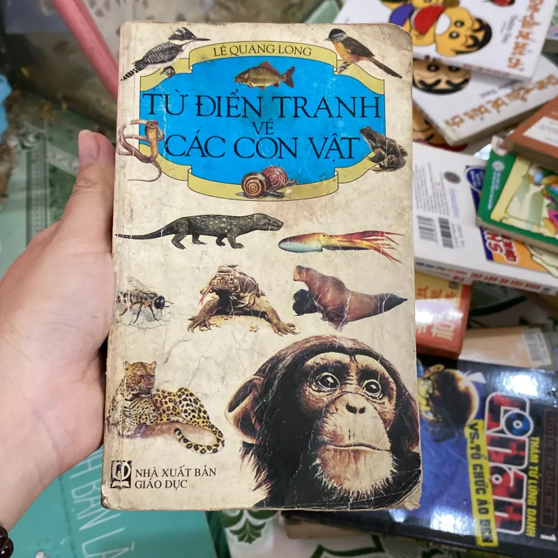 Từ điển tranh về các con vật  800456