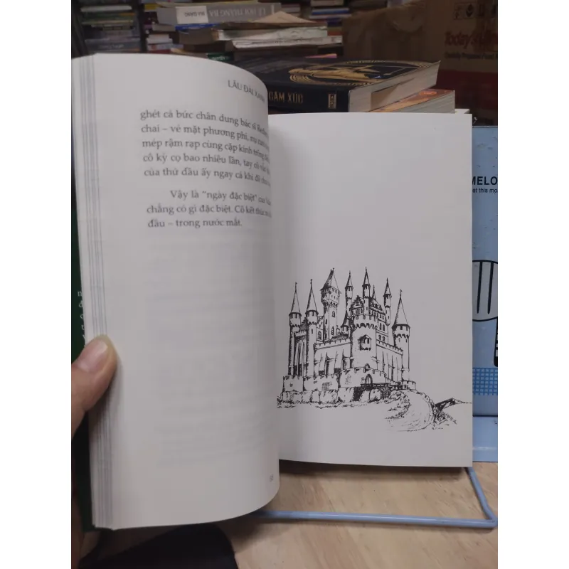 Sách: Lâu Đài Xanh - TG: L.M.Montgomery (B3) 993550