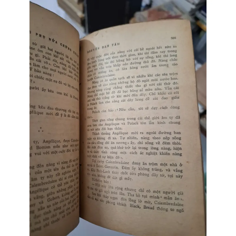 Angélique: Sương phụ nửa chừng xuân (tập 2) - Anne & Serge Golon - nxb SỐNG MỚI 1967 796099