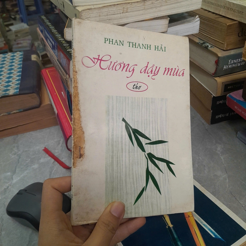 HƯƠNG DẬY MÙA - PHAN THANH HẢI 447711
