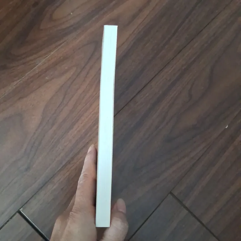 Raffles the definitive biography 734274