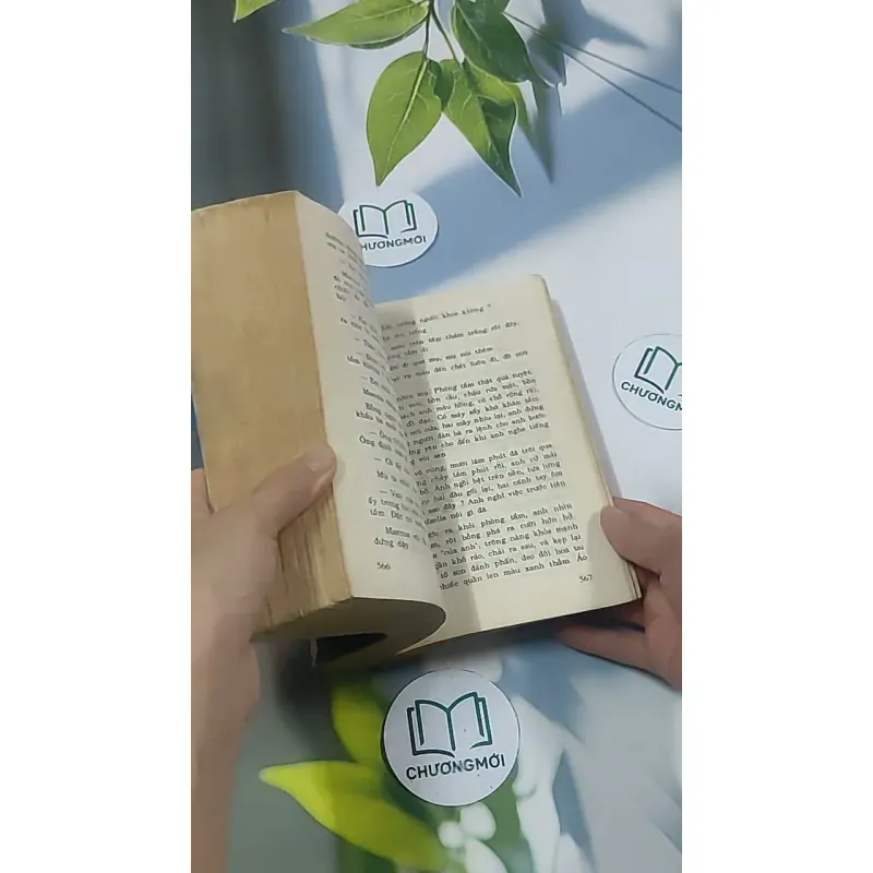 Thôi thúc - Catherine Coulter 695011