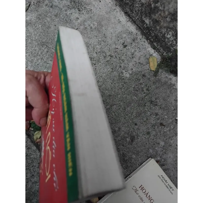 Kí sự địa chí Hà Nội của Giang Quân  1025182