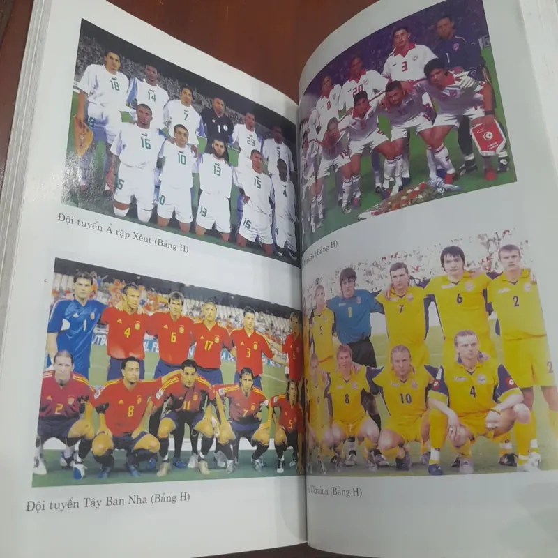 Bách khoa BÓNG ĐÁ THẾ GIỚI 739041