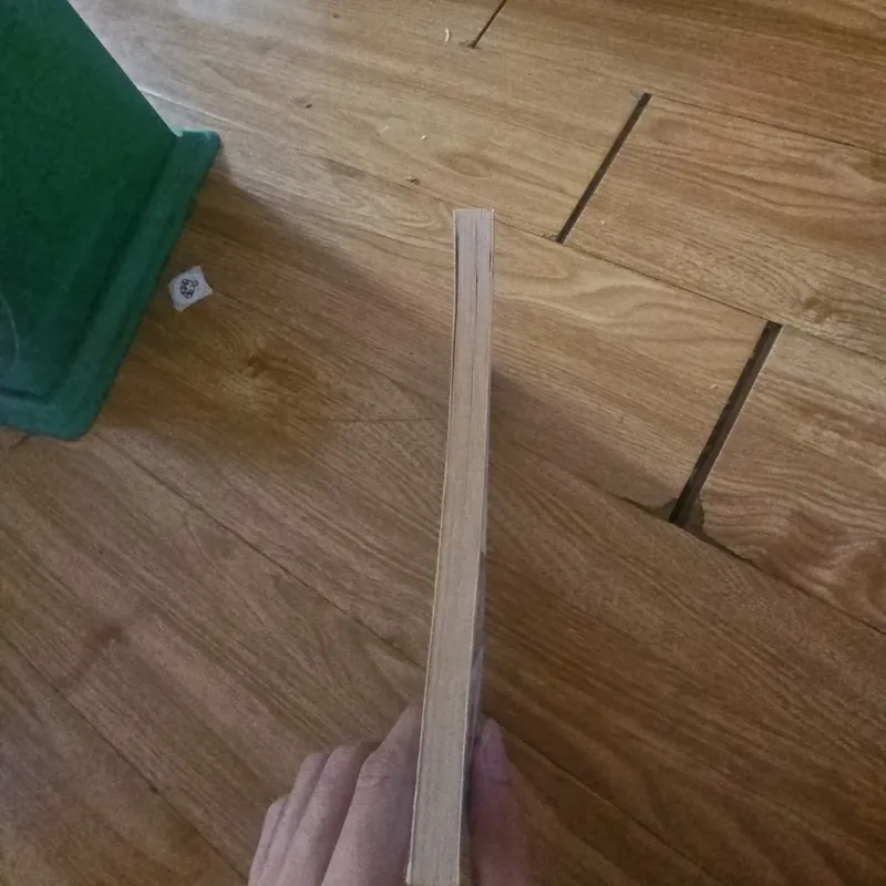 A snowy Robin Rescue Giá 20k  604037