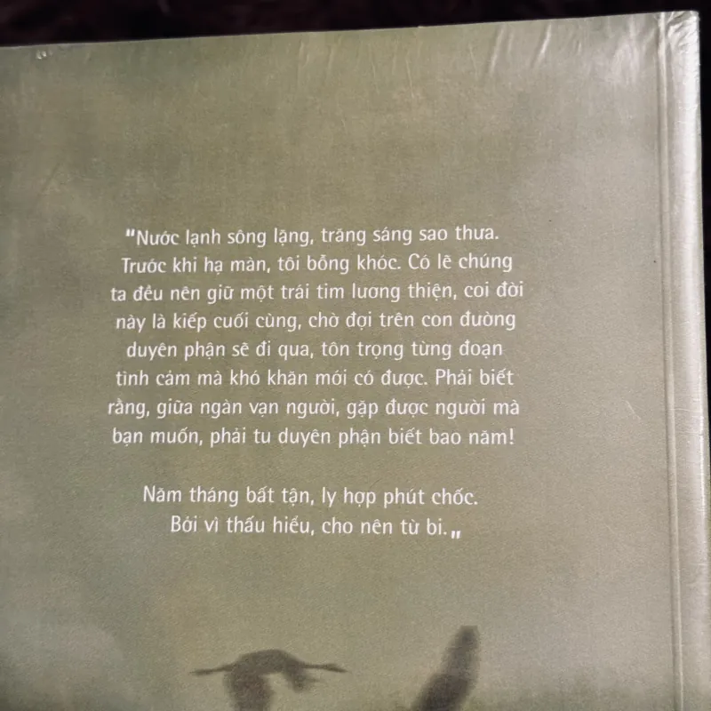 Bởi vì thấu hiểu cho nên từ bi (seal) 784362