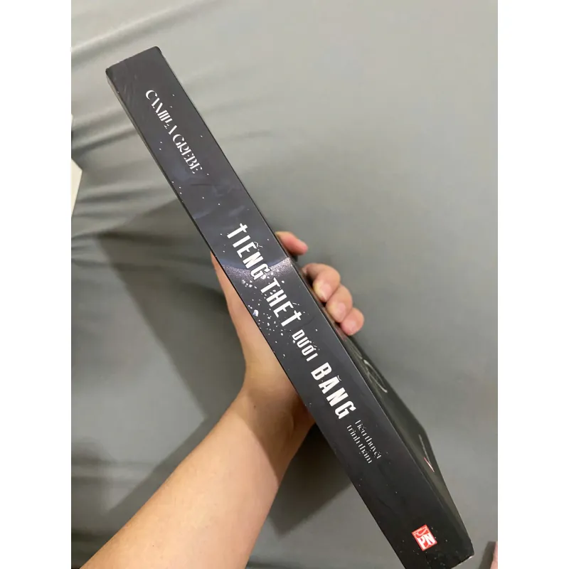 Tiếng thét dưới băng - Camilla Grebe 1008112