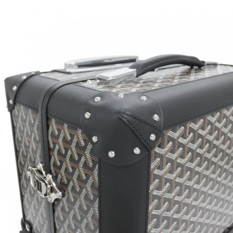 【Sản phẩm chưa sử dụng】Túi xách Goyard Bourget PM 613721