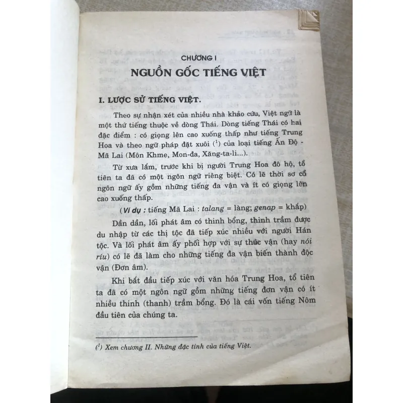 Ngữ Pháp Vệt Nam giản dị thực dụng - Bùi Đức Tịnh 968780