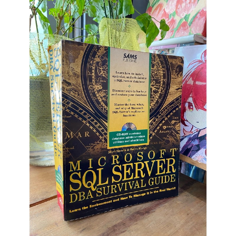 MICROSOFT SQL SERVER DBA SURVIVAL GUIDE - MARK SPENIK & ORRYN SLEDGE 201181