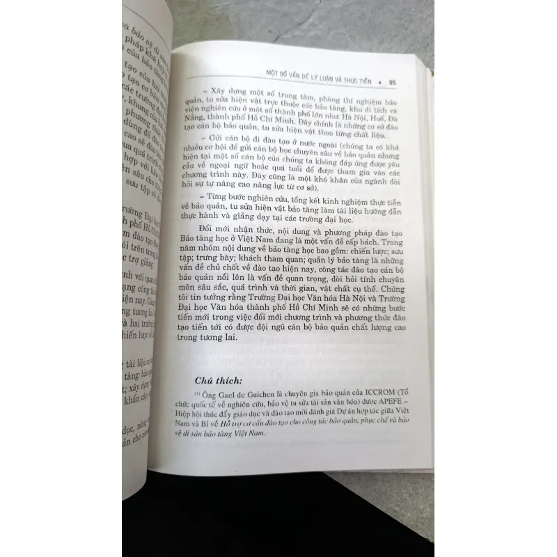 BẢO TÀNG DI TÍCH MỘT SỐ VẤN ĐỀ LÝ LUẬN VÀ THỰC TIỄN - NGUYỄN ĐÌNH THANH 739165
