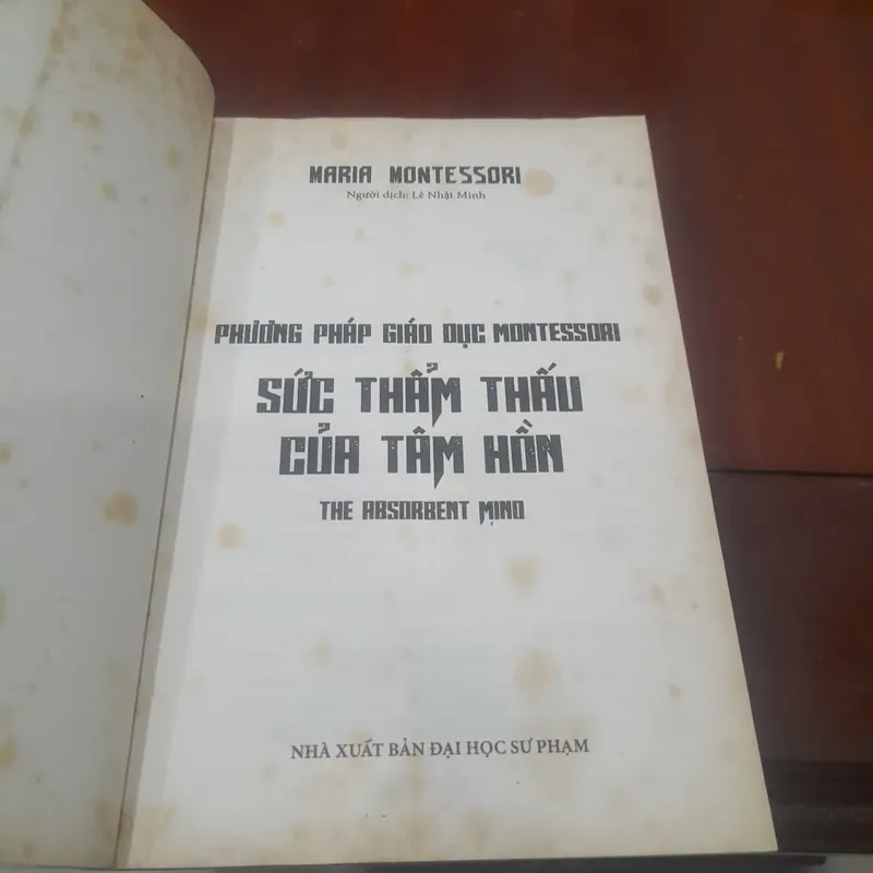 Phương pháp giáo dục Montessori - SỨC THẨM THẤU CỦA TÂM HỒN 720639