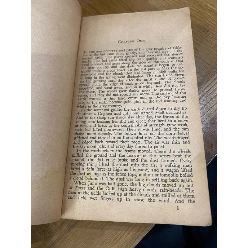 The Grapes of Wrath - John Steinbeck 526223