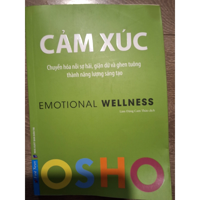 sách Cảm xúc - chuyển hóa nỗi sợ hãi, giận dữ và ghen tuông thành năng lượng sáng tạo 297507