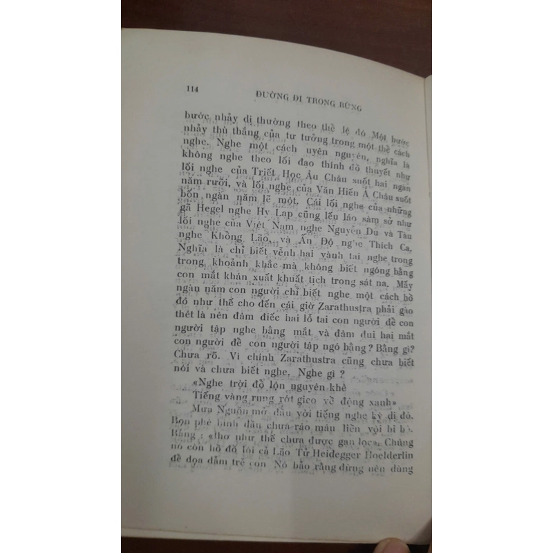 ĐƯỜNG ĐI TRONG RỪNG - Bùi Giáng 271069